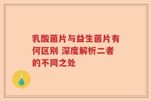 乳酸菌片与益生菌片有何区别 深度解析二者的不同之处 乳酸菌片与益生菌片有何区别 深度解析二者的不同之处