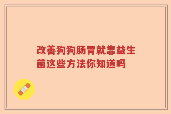 改善狗狗肠胃就靠益生菌这些方法你知道吗 改善狗狗肠胃就靠益生菌这些方法你知道吗