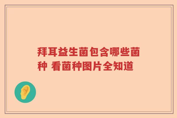 拜耳益生菌包含哪些菌种 看菌种图片全知道 拜耳益生菌包含哪些菌种 看菌种图片全知道