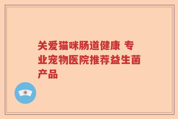 关爱猫咪肠道健康 专业宠物医院推荐益生菌产品