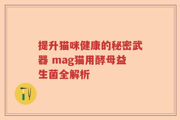 提升猫咪健康的秘密武器 mag猫用酵母益生菌全解析