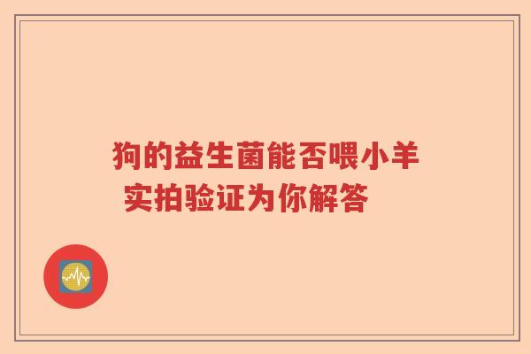 狗的益生菌能否喂小羊 实拍验证为你解答 狗的益生菌能否喂小羊 实拍验证为你解答