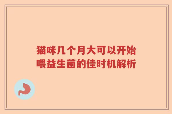 猫咪几个月大可以开始喂益生菌的佳时机解析 猫咪几个月大可以开始喂益生菌的佳时机解析