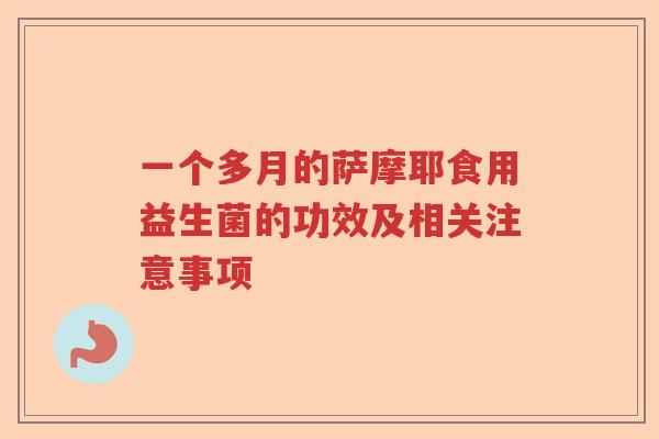 一个多月的萨摩耶食用益生菌的功效及相关注意事项