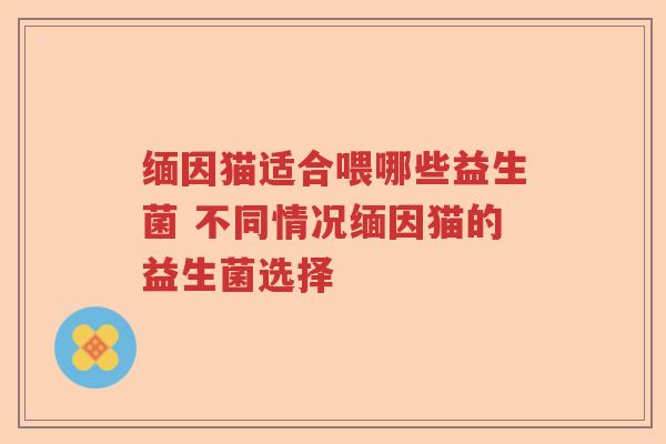 缅因猫适合喂哪些益生菌 不同情况缅因猫的益生菌选择