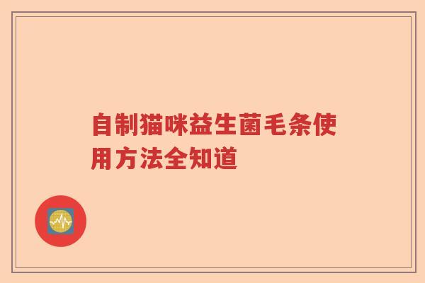自制猫咪益生菌毛条使用方法全知道 自制猫咪益生菌毛条使用方法全知道