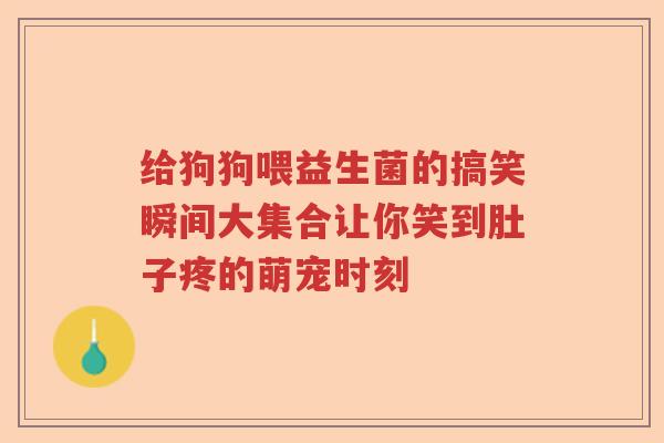 给狗狗喂益生菌的搞笑瞬间大集合让你笑到肚子疼的萌宠时刻 给狗狗喂益生菌的搞笑瞬间大集合让你笑到肚子疼的萌宠时刻