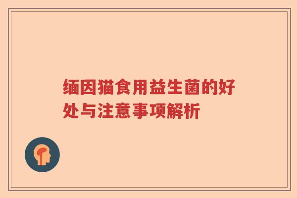 缅因猫食用益生菌的好处与注意事项解析 缅因猫食用益生菌的好处与注意事项解析