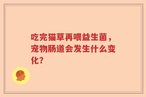 吃完猫草再喂益生菌，宠物肠道会发生什么变化？