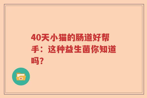 40天小猫的肠道好帮手：这种益生菌你知道吗？