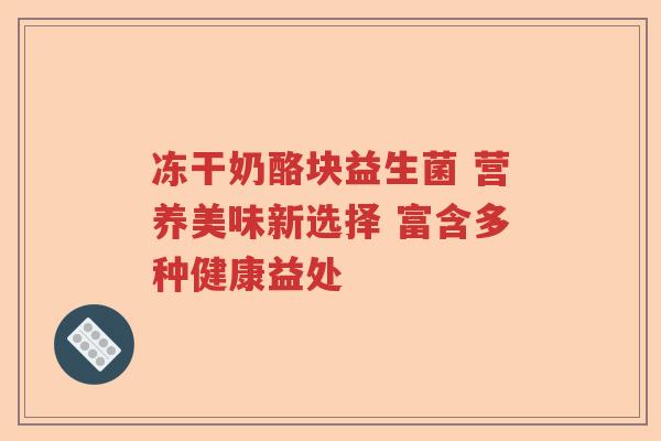 冻干奶酪块益生菌 营养美味新选择 富含多种健康益处