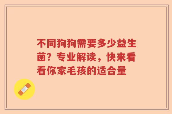 不同狗狗需要多少益生菌?专业解读,快来看看你家毛孩的适合量 不同狗狗需要多少益生菌?专业解读,快来看看你家毛孩的适合量