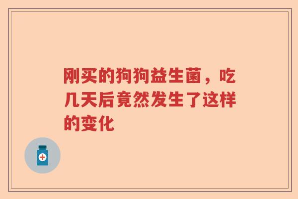 刚买的狗狗益生菌,吃几天后竟然发生了这样的变化 刚买的狗狗益生菌,吃几天后竟然发生了这样的变化