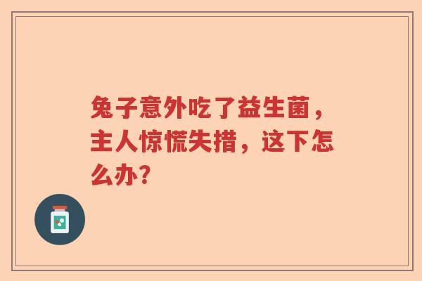 兔子意外吃了益生菌,主人惊慌失措,这下怎么办? 兔子意外吃了益生菌,主人惊慌失措,这下怎么办?