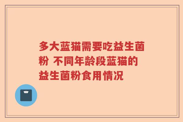 多大蓝猫需要吃益生菌粉 不同年龄段蓝猫的益生菌粉食用情况
