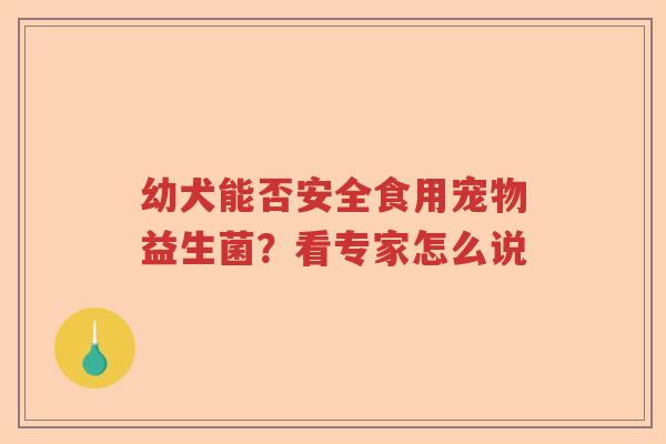 幼犬能否安全食用宠物益生菌？看专家怎么说