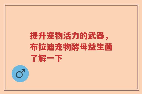 提升宠物活力的武器,布拉迪宠物酵母益生菌了解一下 提升宠物活力的武器,布拉迪宠物酵母益生菌了解一下