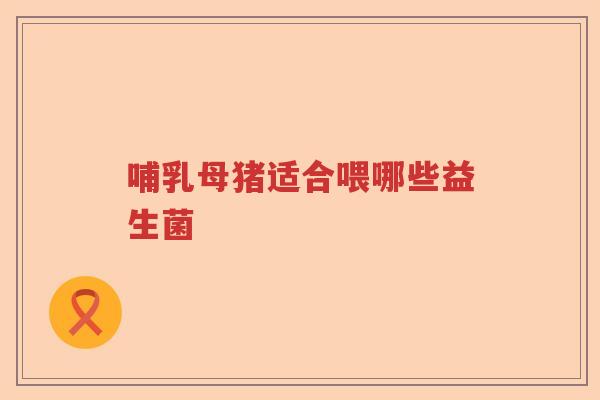 哺乳母猪适合喂哪些益生菌