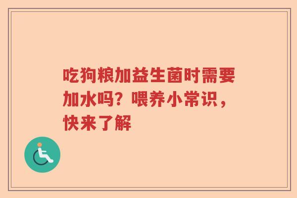 吃狗粮加益生菌时需要加水吗？喂养小常识，快来了解