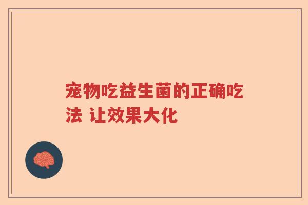 宠物吃益生菌的正确吃法 让效果大化