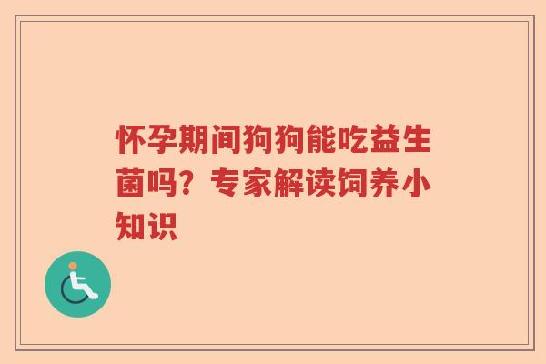 怀孕期间狗狗能吃益生菌吗？专家解读饲养小知识