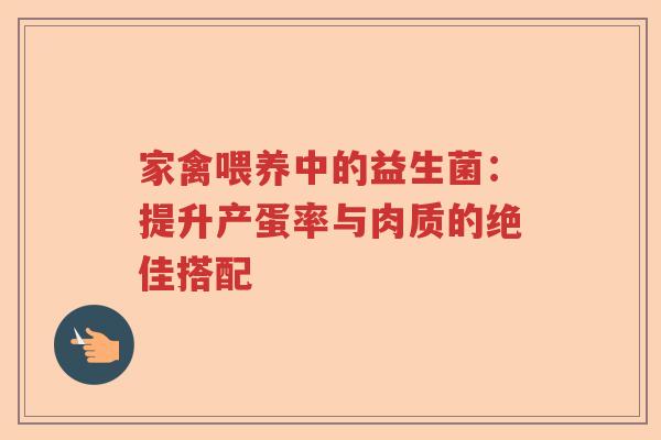 家禽喂养中的益生菌：提升产蛋率与肉质的绝佳搭配