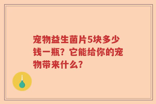 宠物益生菌片5块多少钱一瓶？它能给你的宠物带来什么？