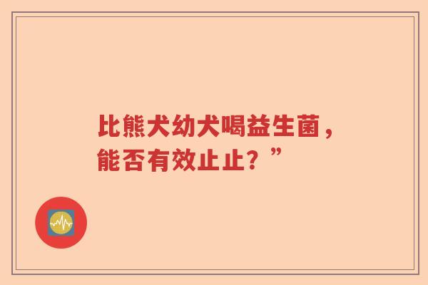 比熊犬幼犬喝益生菌，能否有效止止？”