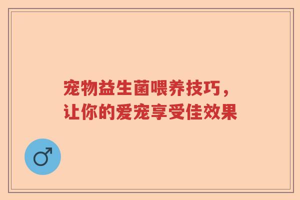 宠物益生菌喂养技巧，让你的爱宠享受佳效果