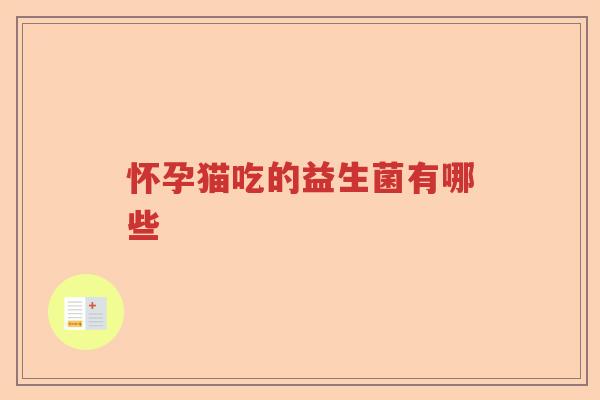 怀孕猫吃的益生菌有哪些