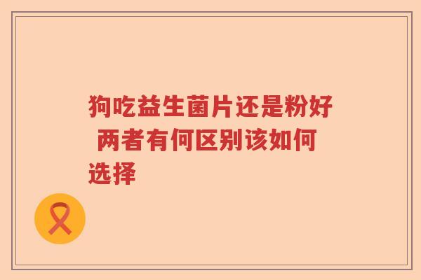 狗吃益生菌片还是粉好 两者有何区别该如何选择 狗吃益生菌片还是粉好 两者有何区别该如何选择