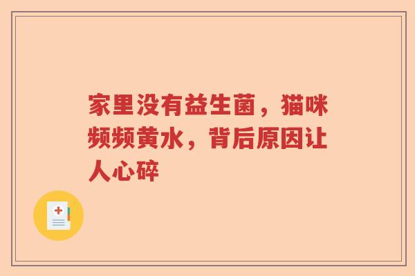 家里没有益生菌,猫咪频频黄水,背后原因让人心碎 家里没有益生菌,猫咪频频黄水,背后原因让人心碎