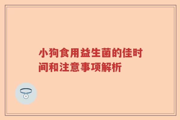小狗食用益生菌的佳时间和注意事项解析
