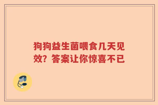 狗狗益生菌喂食几天见效?答案让你惊喜不已 狗狗益生菌喂食几天见效?答案让你惊喜不已