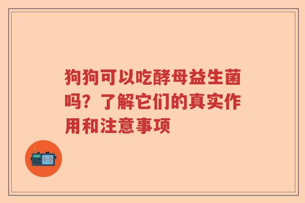 狗狗可以吃酵母益生菌吗？了解它们的真实作用和注意事项