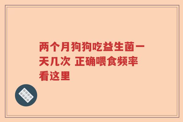 两个月狗狗吃益生菌一天几次 正确喂食频率看这里 两个月狗狗吃益生菌一天几次 正确喂食频率看这里