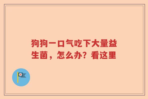 狗狗一口气吃下大量益生菌,怎么办?看这里 狗狗一口气吃下大量益生菌,怎么办?看这里