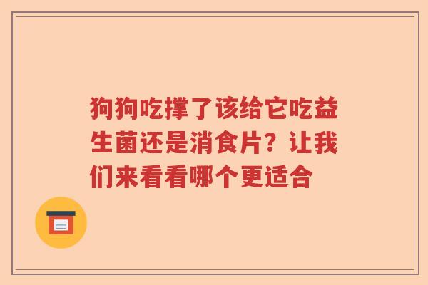 狗狗吃撑了该给它吃益生菌还是消食片？让我们来看看哪个更适合