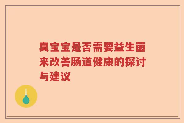 臭宝宝是否需要益生菌来改善肠道健康的探讨与建议