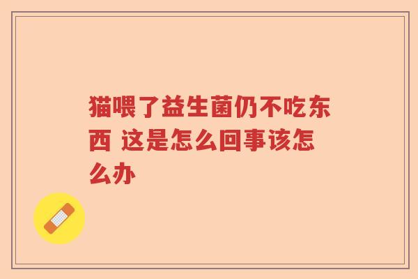 猫喂了益生菌仍不吃东西 这是怎么回事该怎么办