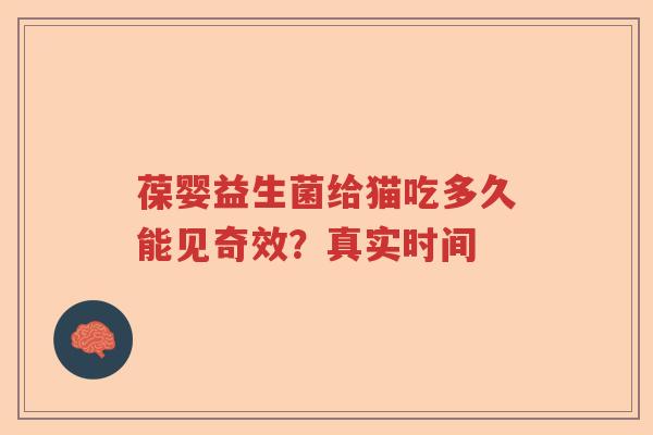 葆婴益生菌给猫吃多久能见奇效？真实时间