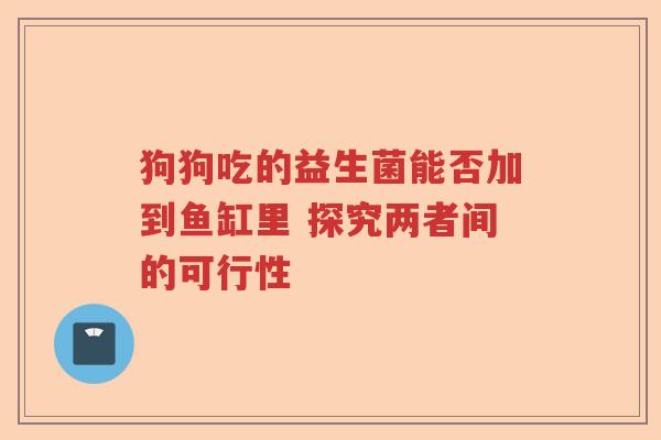 狗狗吃的益生菌能否加到鱼缸里 探究两者间的可行性