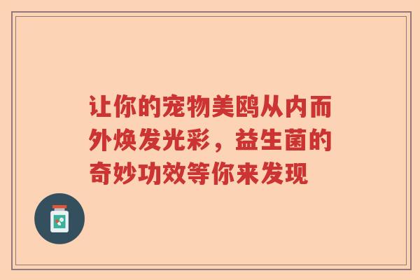 让你的宠物美鸥从内而外焕发光彩，益生菌的奇妙功效等你来发现